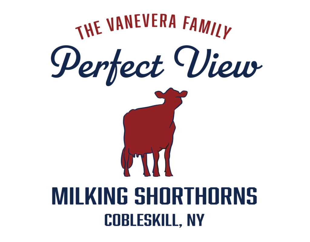 Perfect View Milking Shorthorns logo